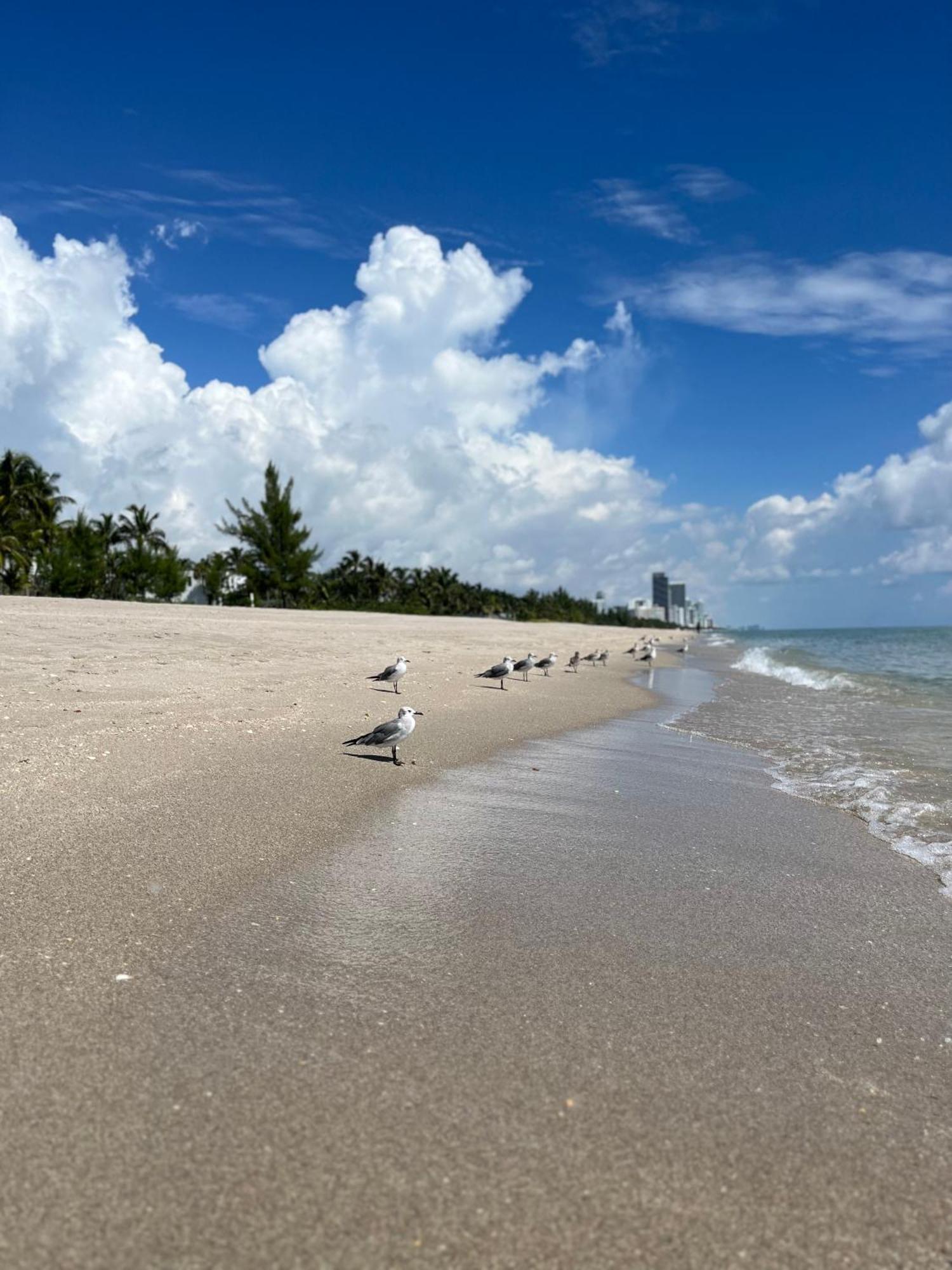 Appartement Ocean Reserve 15th Floor - Gorgeous Ocean View - Str00907 Miami Beach